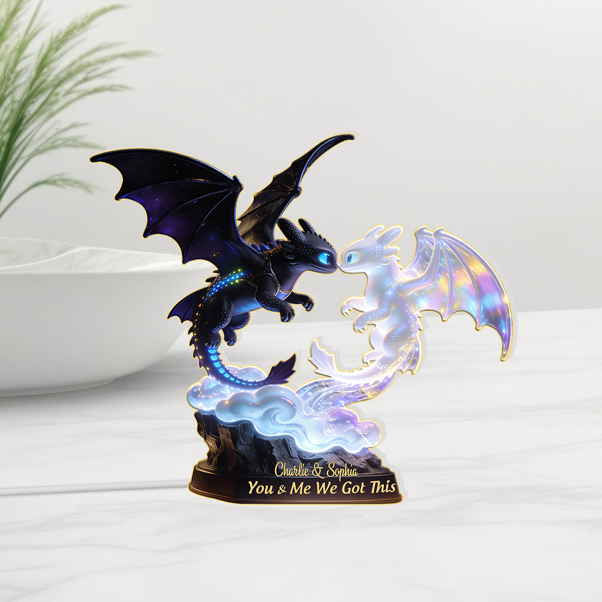 You & Me We Got This - Personalized Dragon Trainer Acrylic LED Night Light